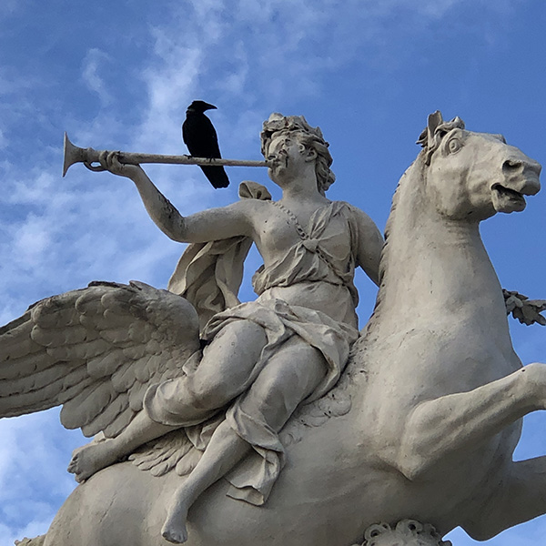 A crow sitting atop the statue of a figure on a winged horse, blowing a trumpet, in the Tuileries Garden, Paris, France.