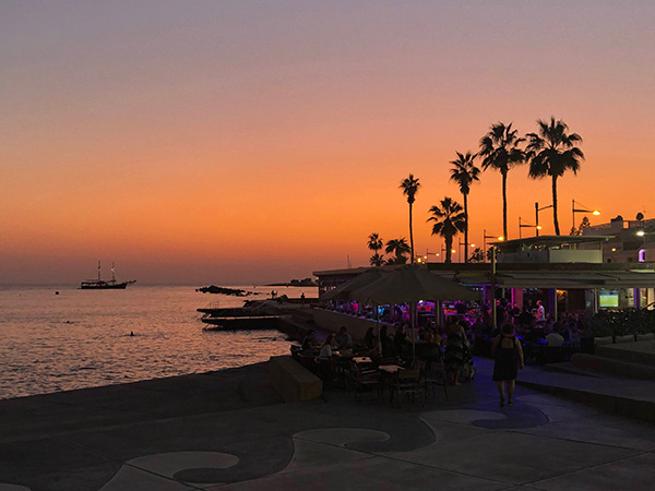 The Kingdom of&nbsp;Cats