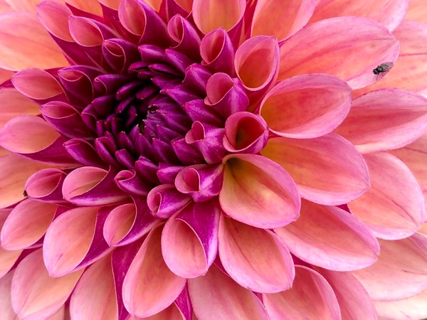 Big C Update&nbsp;(Cupdate)