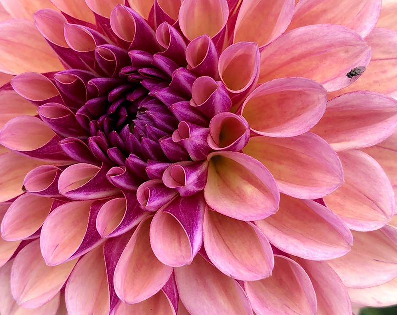 Big C Update&nbsp;(Cupdate)