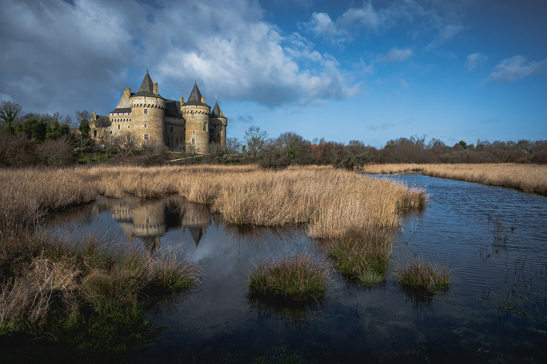 winter scene of Suscinio Chateau and surrounding marshes