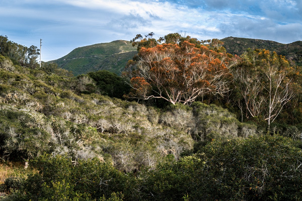 Being Alive to the&nbsp;Unexpected