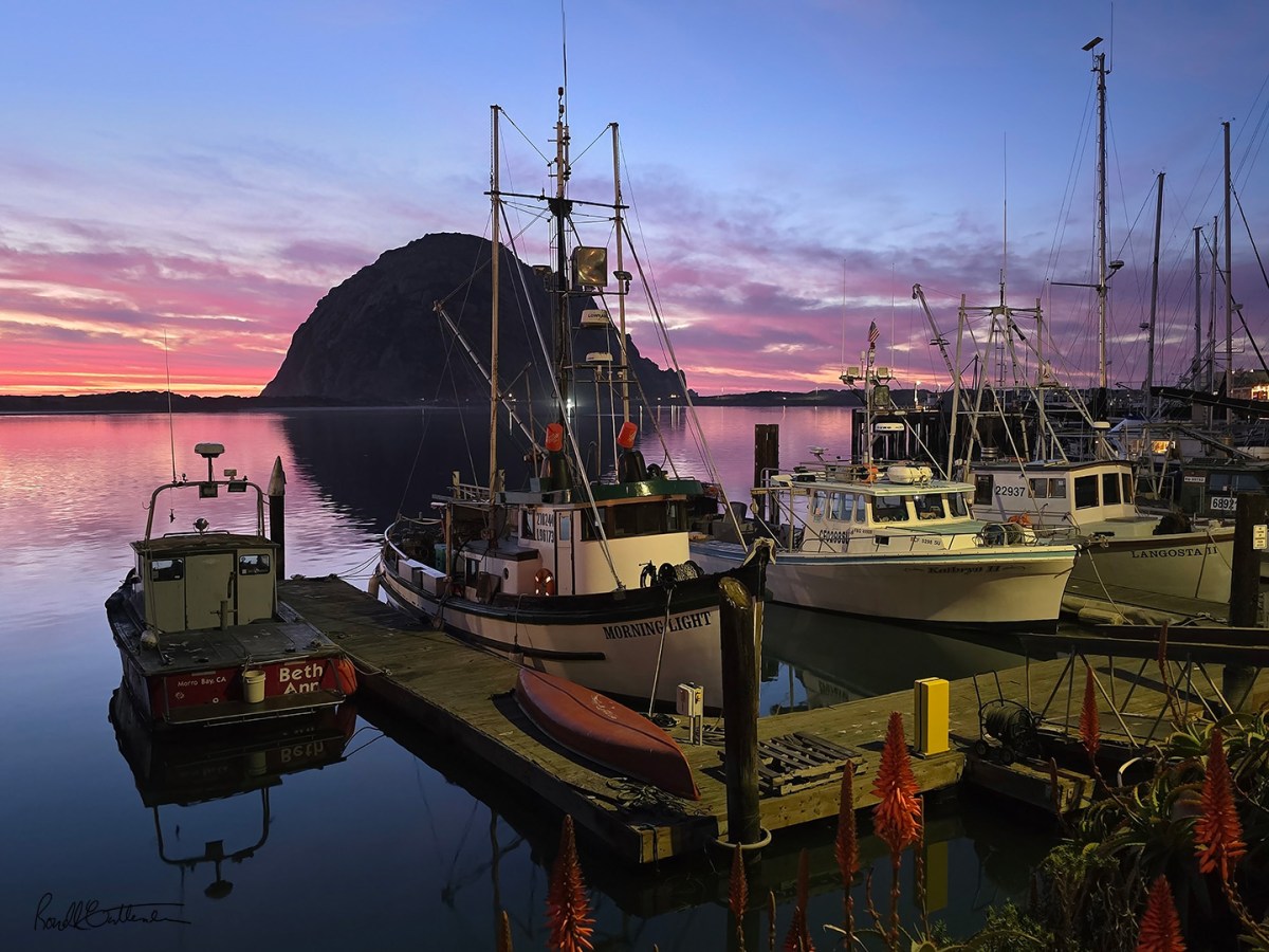 More on Ocean’s&nbsp;Edge