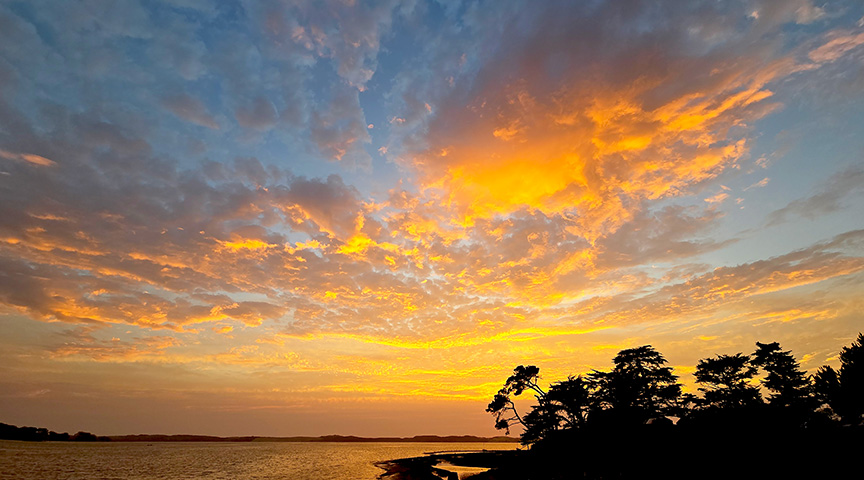 Spectacular yellow and red clouds festoon the blue sunset skies over the Back Bay in Los Osos.