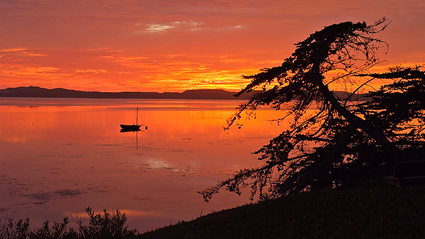 Red and yellow sunset over Los Osos's back bay backlights a foreground tree and a lone boat on the water.